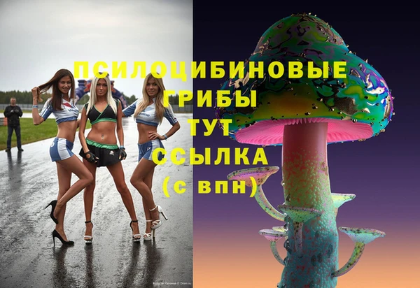 спиды Алексин