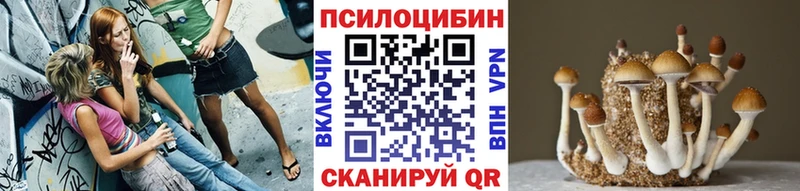 Галлюциногенные грибы MAGIC MUSHROOMS  даркнет сайт  мега ONION  Темников 
